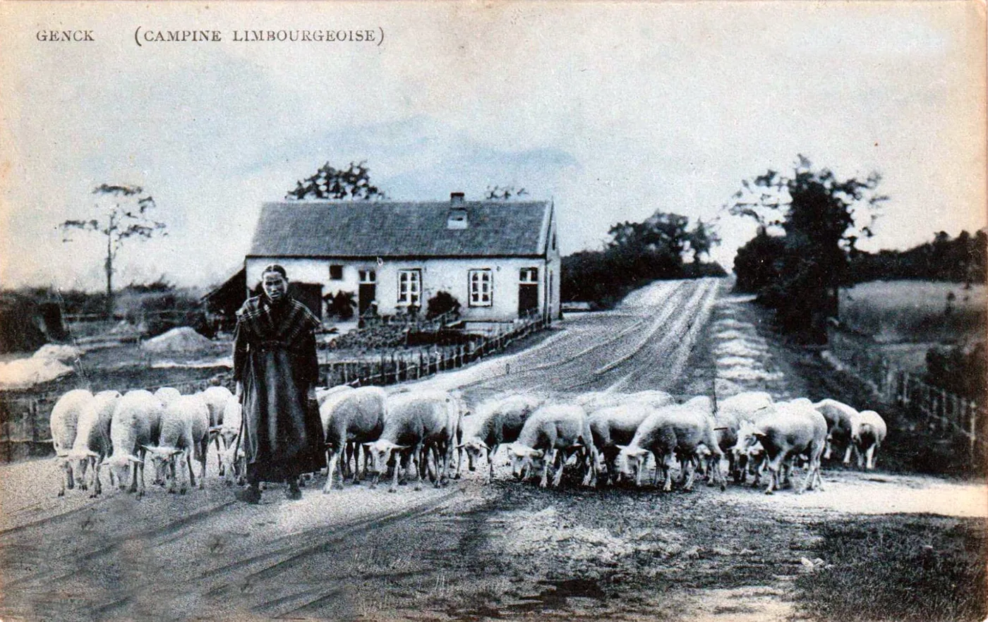 Origineel: Herderin, Genk